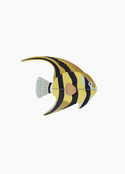 AngelFish