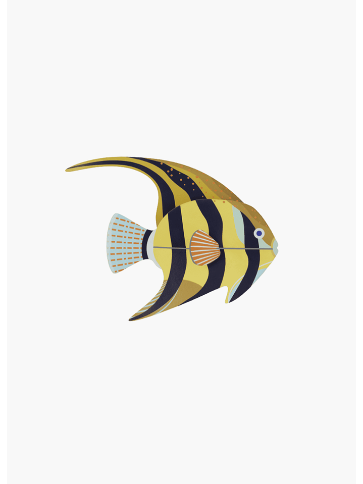 AngelFish 1