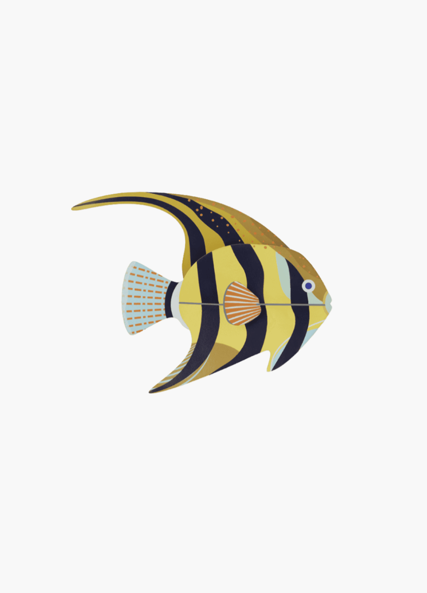 AngelFish 1