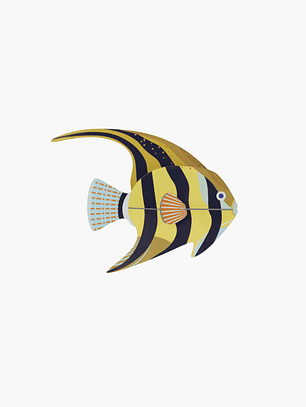 AngelFish