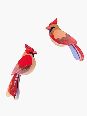 Cardinals