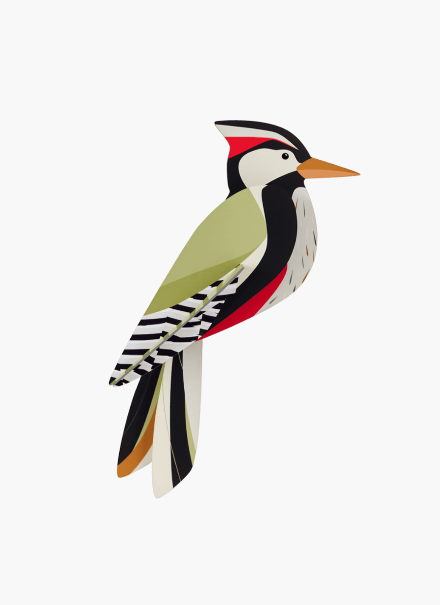 Woodpecker 1