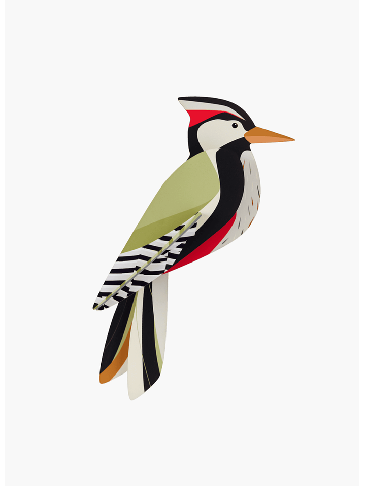 Woodpecker 1