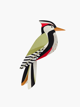 Woodpecker
