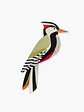 Woodpecker - thumbnail 1