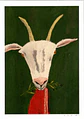 THE GOAT - thumbnail 2