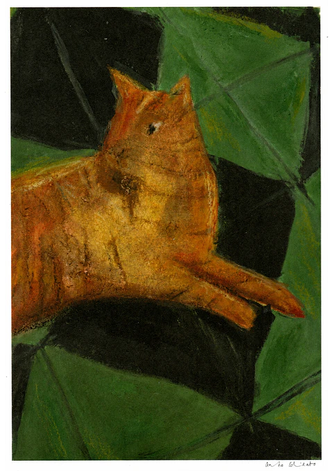 yellow cat