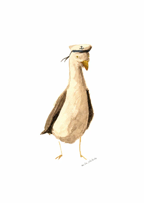 captain seagull