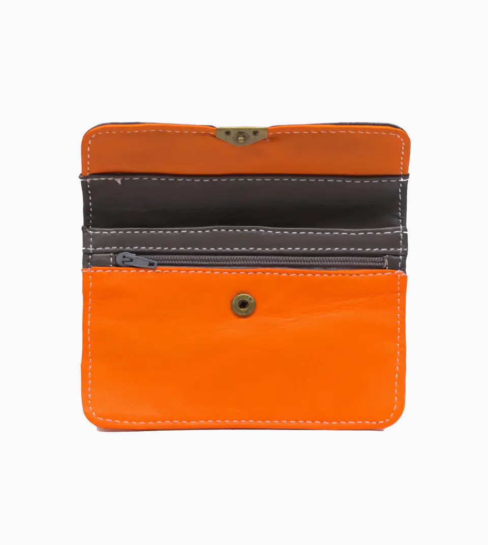 Carteira multi bolso 4