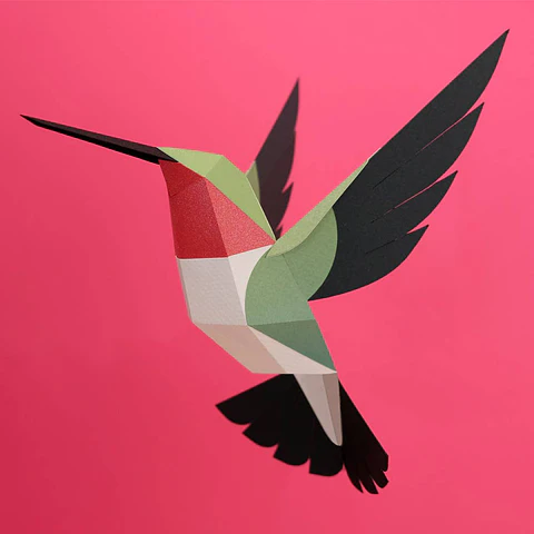 Selasphorus Platycercus - pássaro de papel