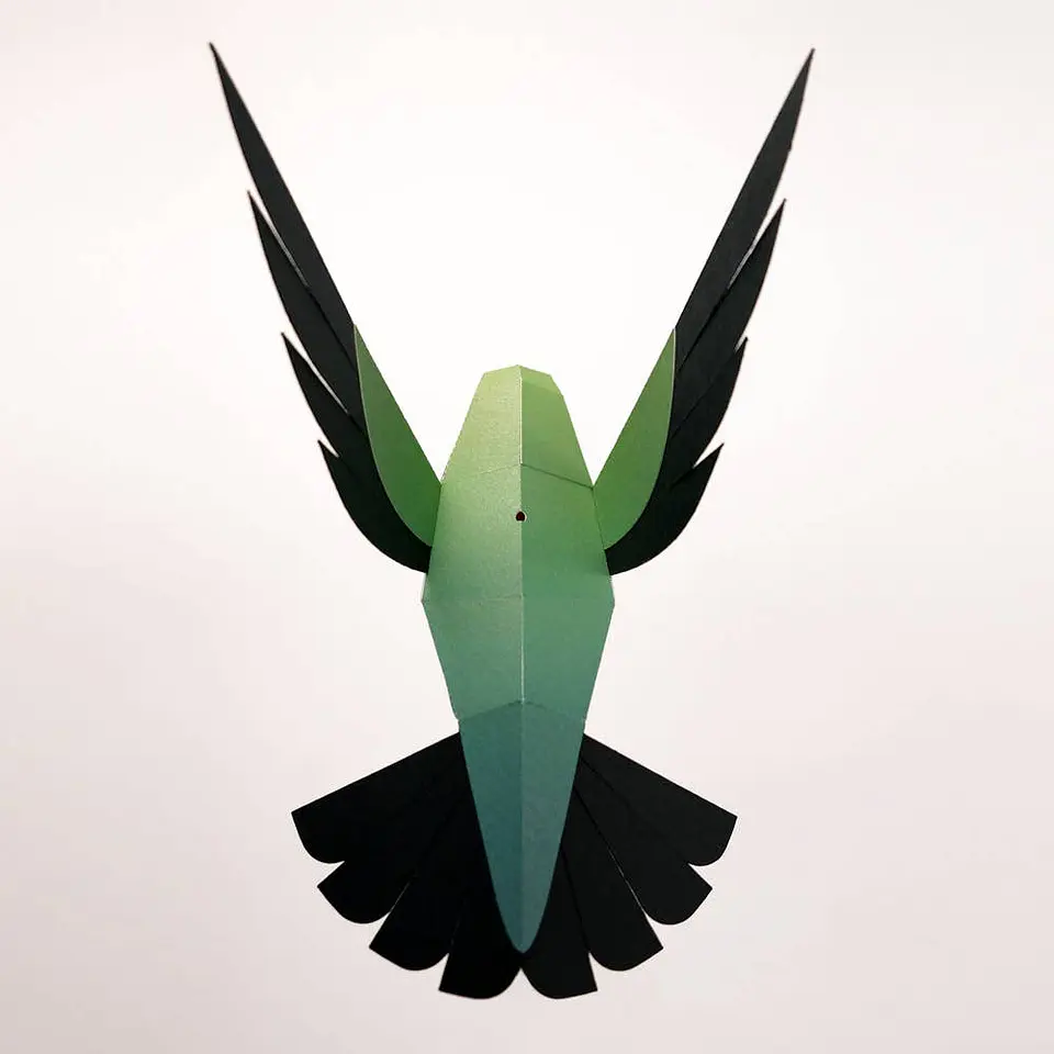 Selasphorus Platycercus - pássaro de papel 3