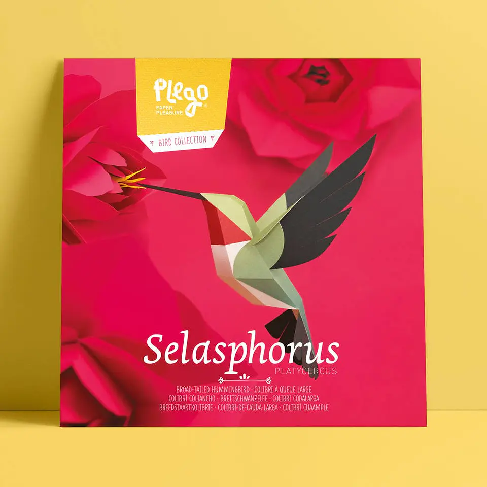 Selasphorus Platycercus - pássaro de papel 4