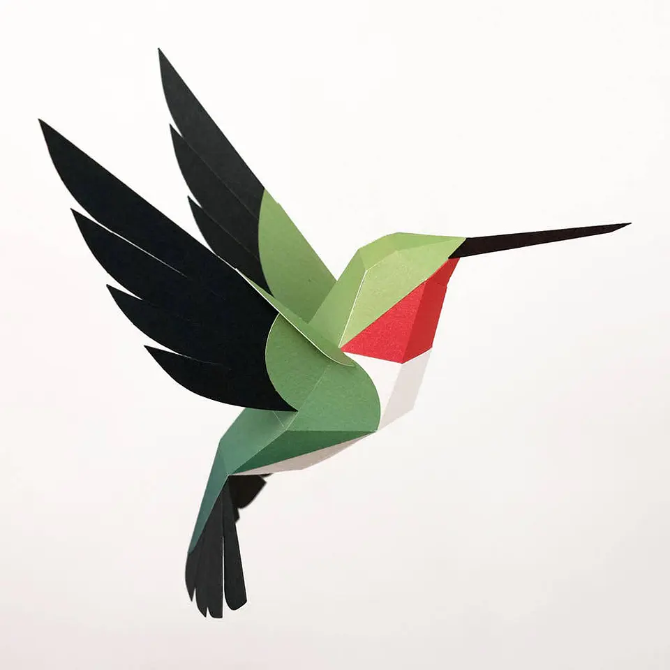 Selasphorus Platycercus - pássaro de papel 5