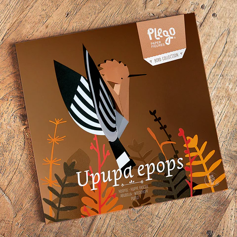 UPUPA EPOPS - pássaro de pape