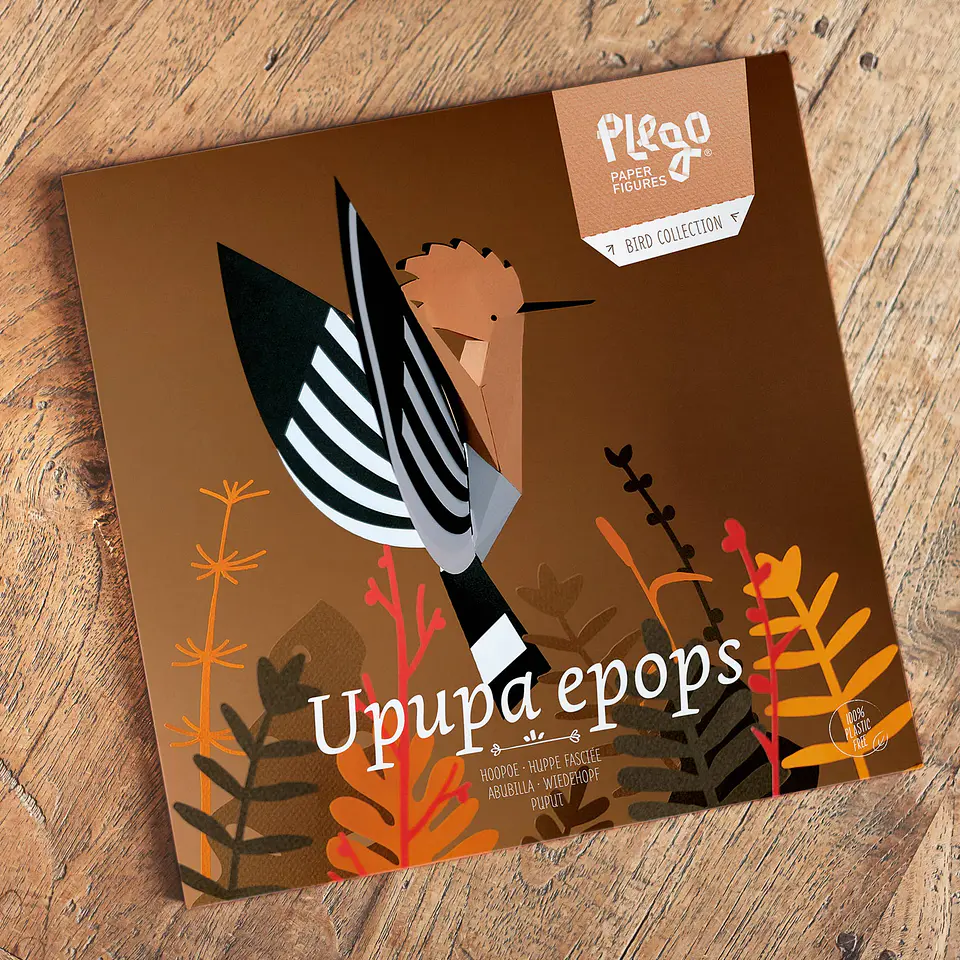 UPUPA EPOPS - pássaro de pape 2