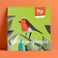 ERITHACUS RUBECULA - pássaro de papel - Thumbnail 4