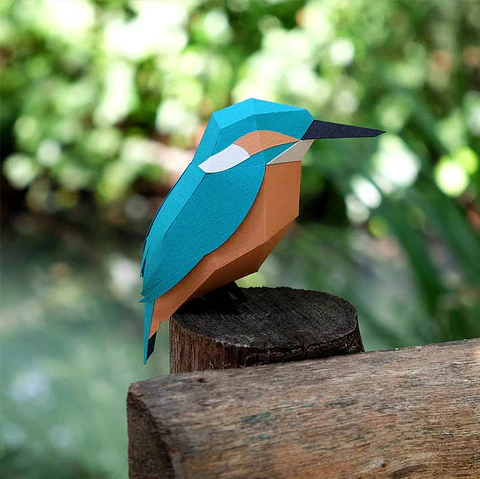 Pássaro - Alcedo Atthis