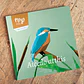 Pássaro - Alcedo Atthis - Thumbnail 3