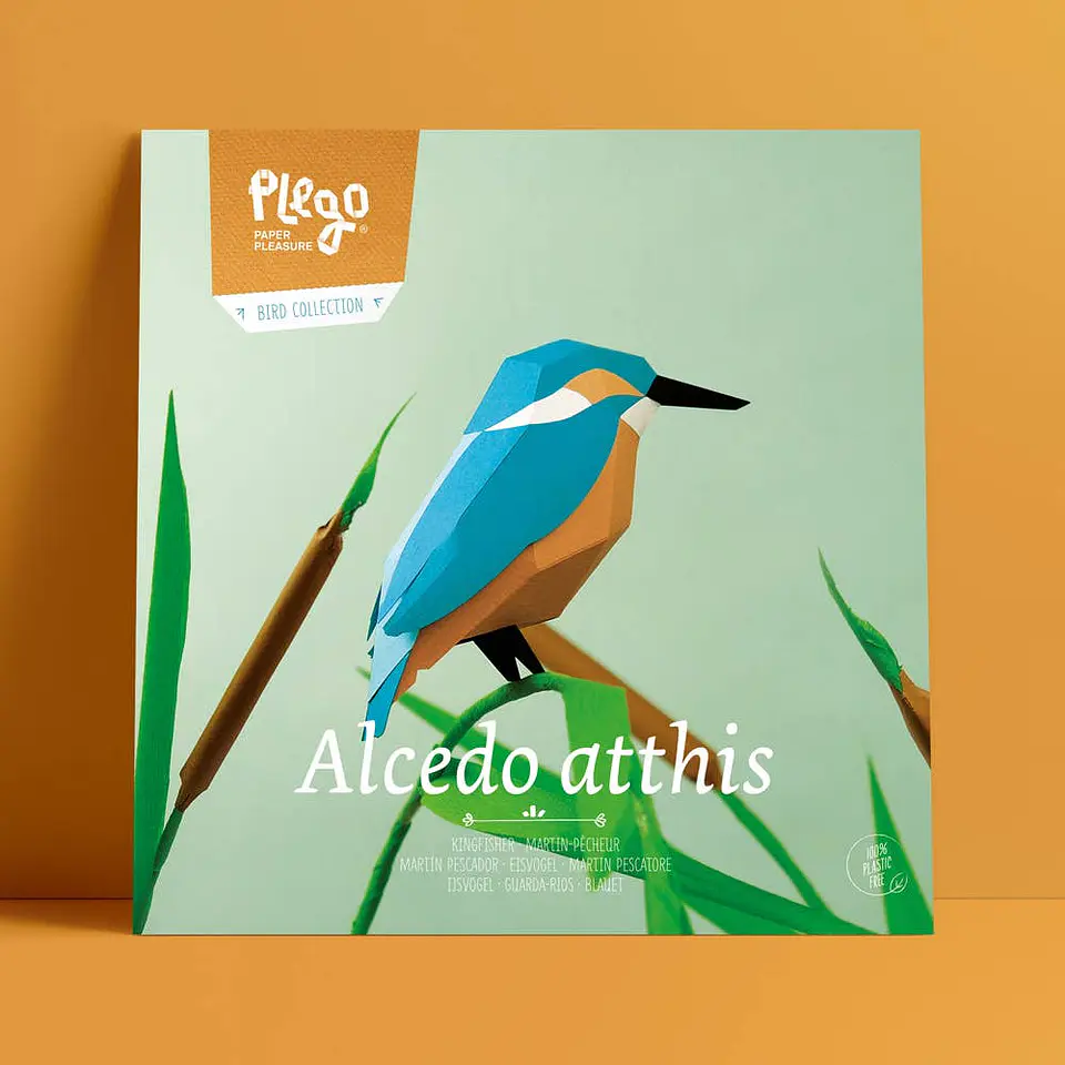 Pássaro - Alcedo Atthis 4