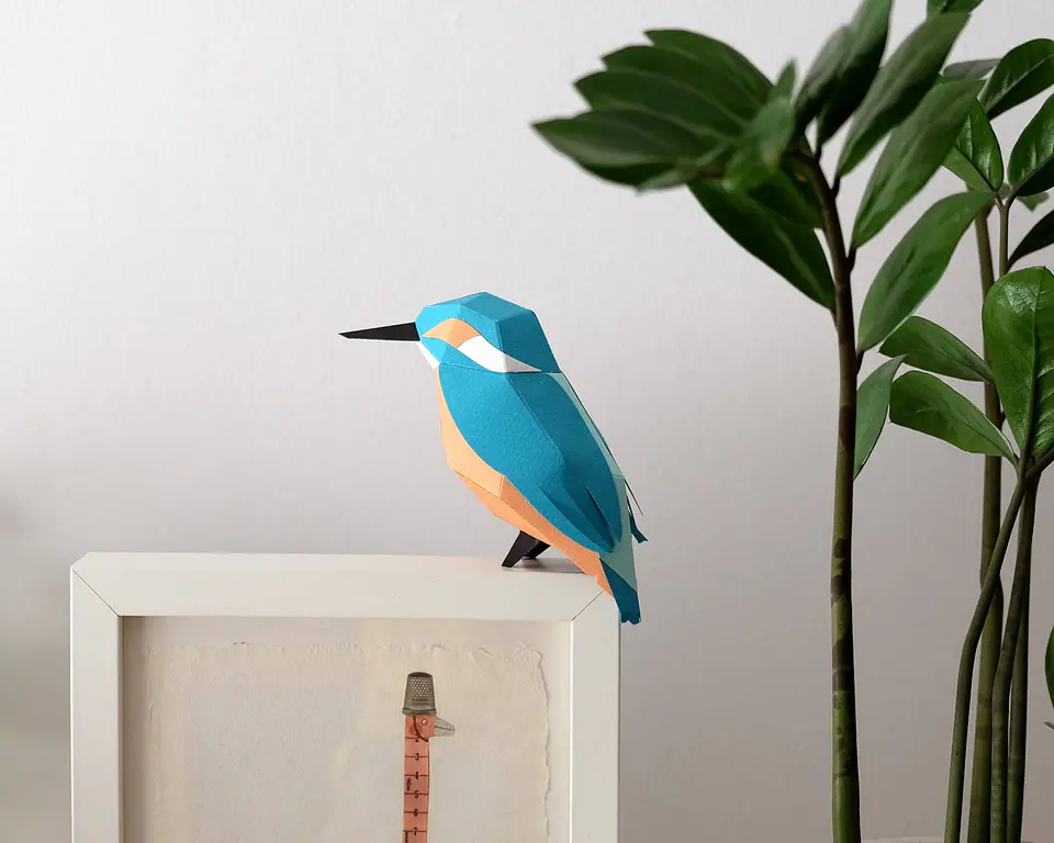 Pássaro - Alcedo Atthis 1