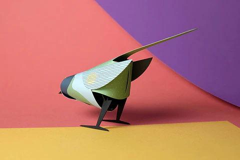 NEBULA AVIS - pássaro de papel