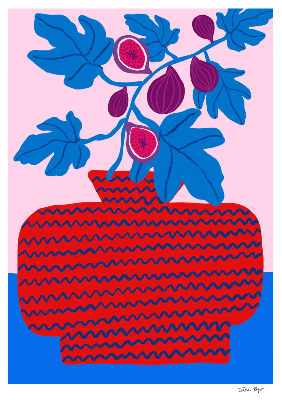Sweet Figs  1