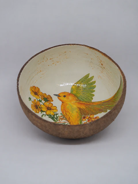 Cocô Bowl - Pássaros