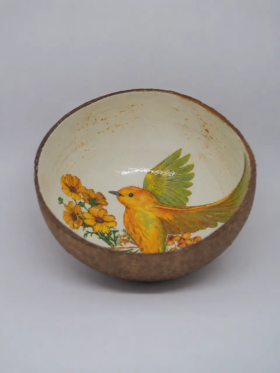 Cocô Bowl - Pássaros 1