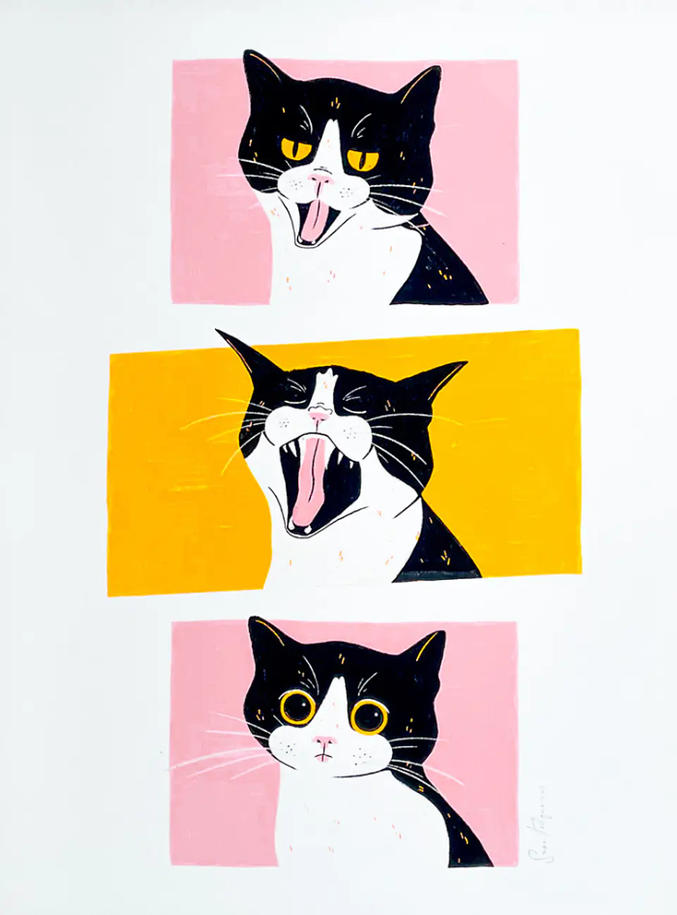 Phases of the yawn 1