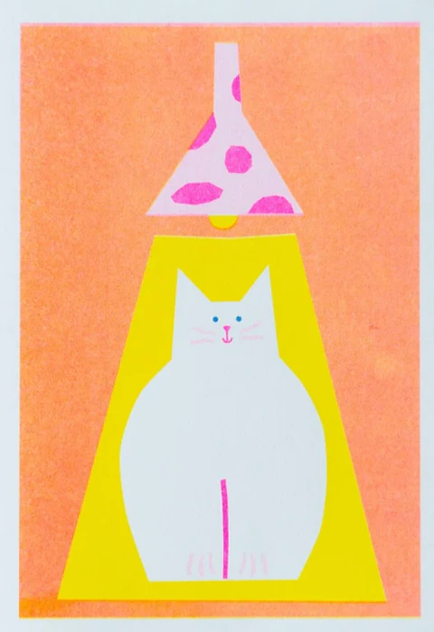 Gato iluminado
