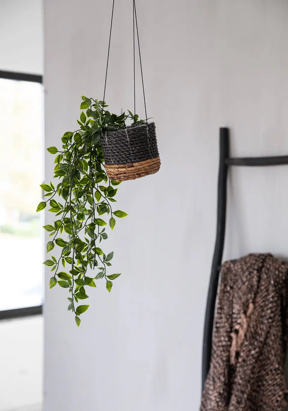 Suporte Plantas 3
