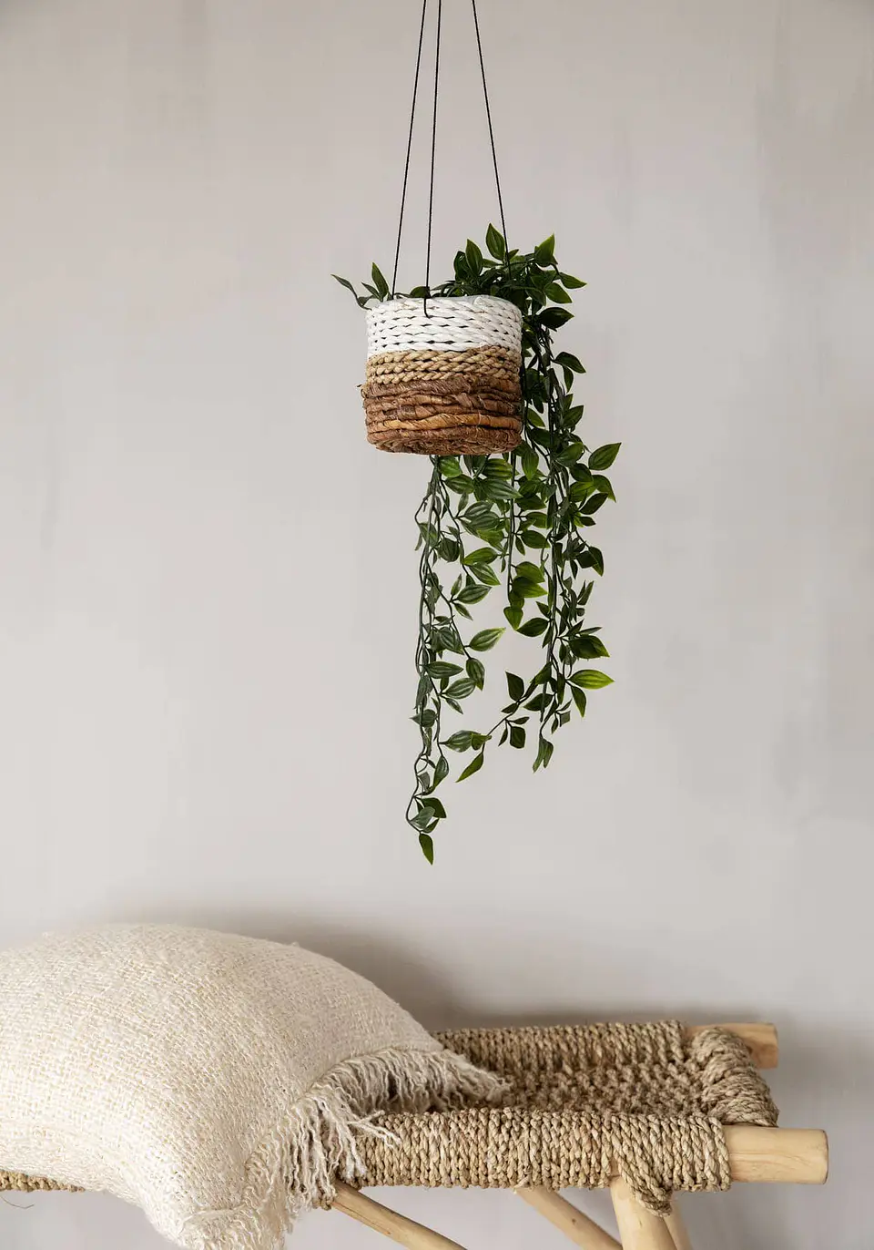 Suporte Plantas 4