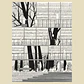 A Biblioteca - Thumbnail 2