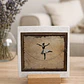 Ballerina  - Thumbnail 2