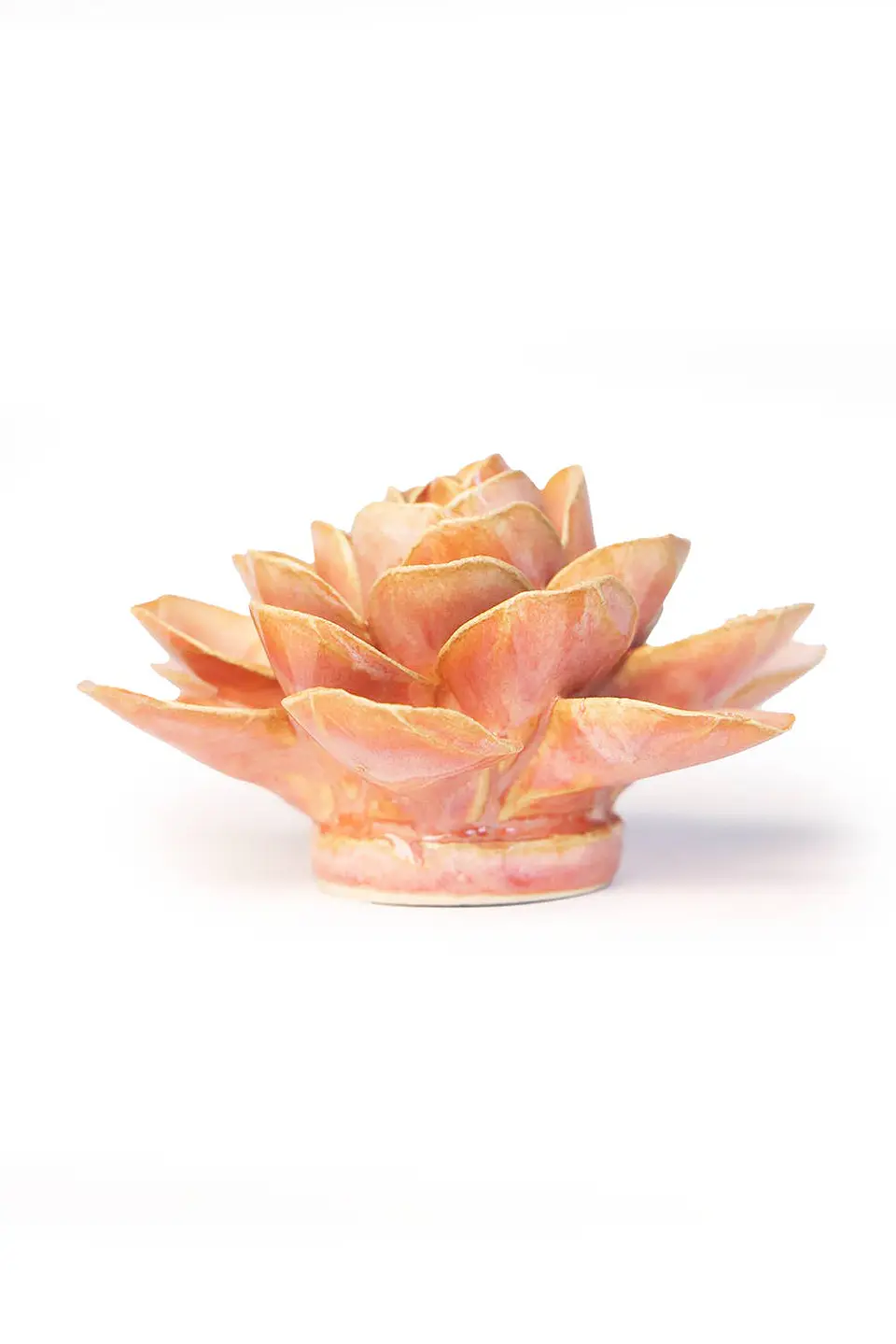 Begônia Peach 2