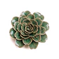 Boho Rose - Thumbnail 2