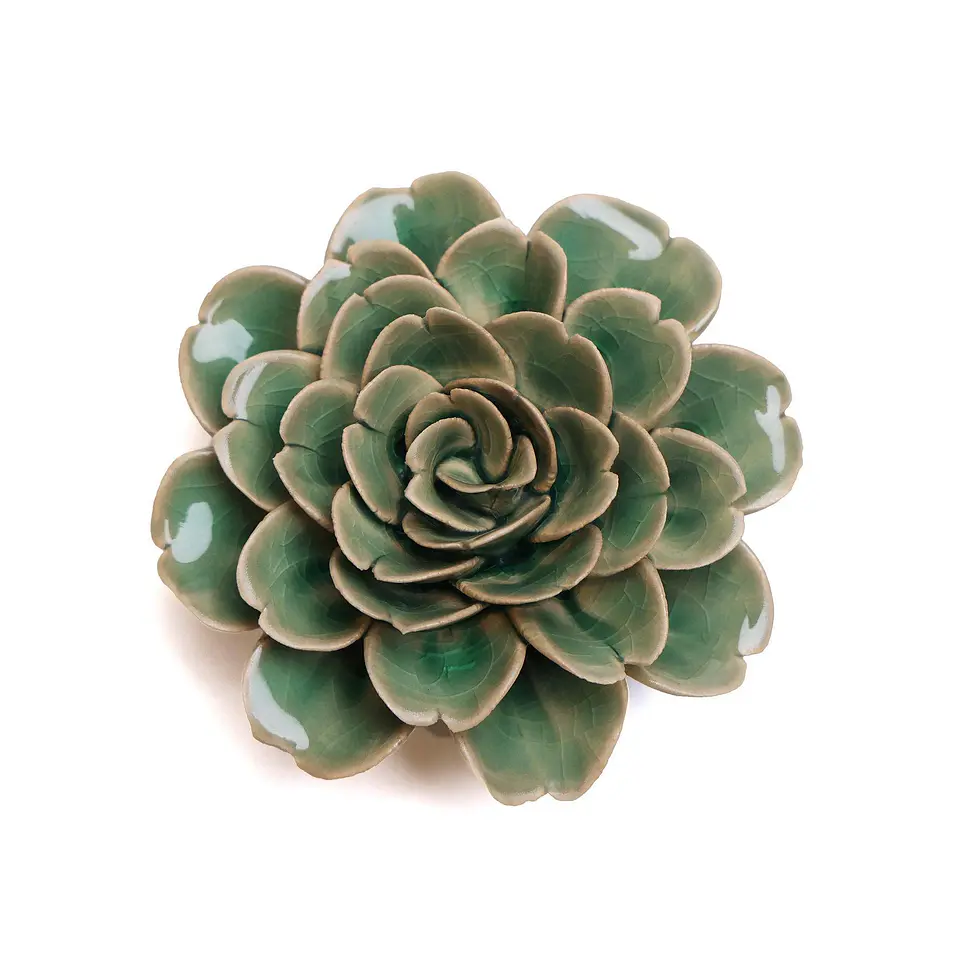 Boho Rose 2
