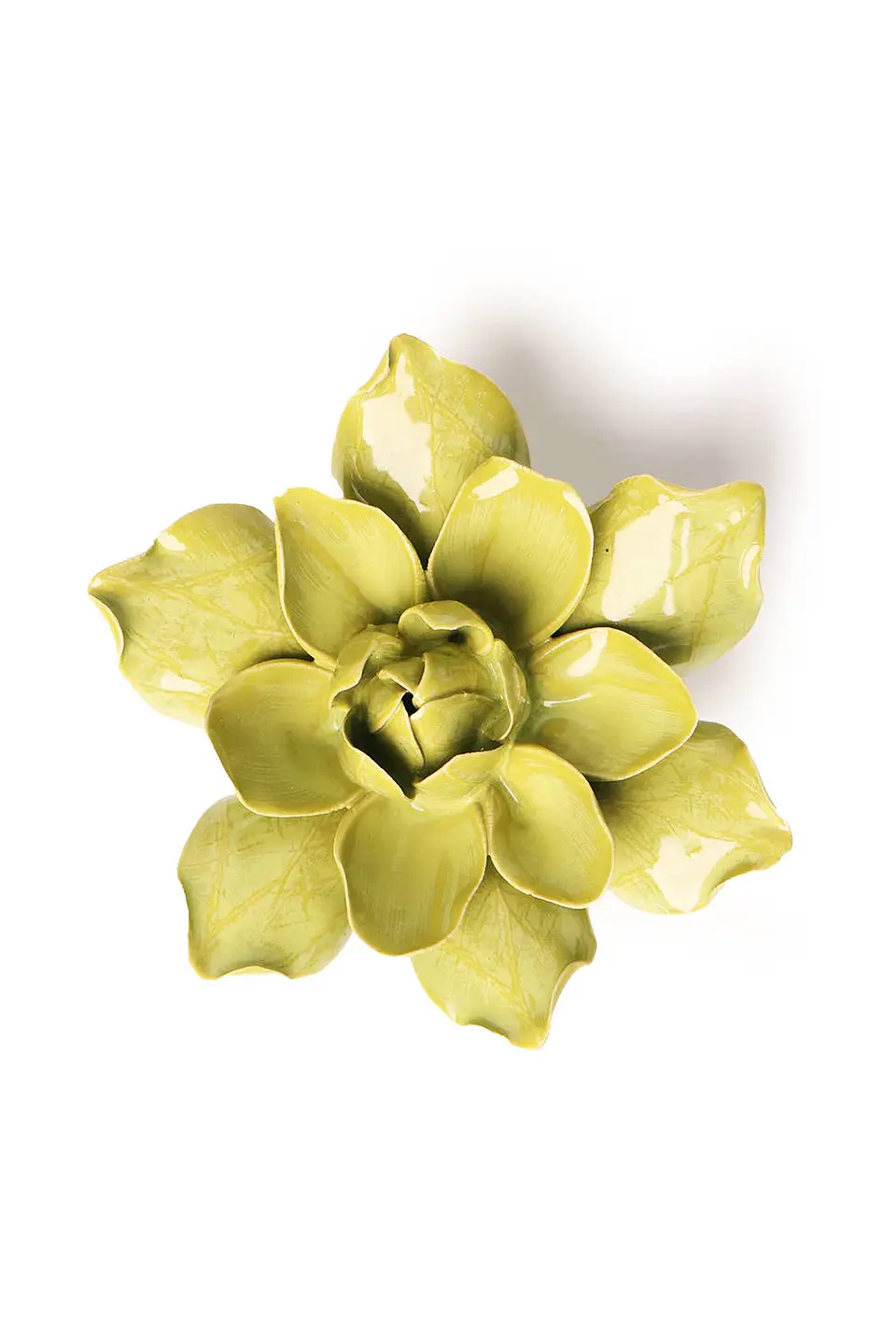 Columbine Green 1