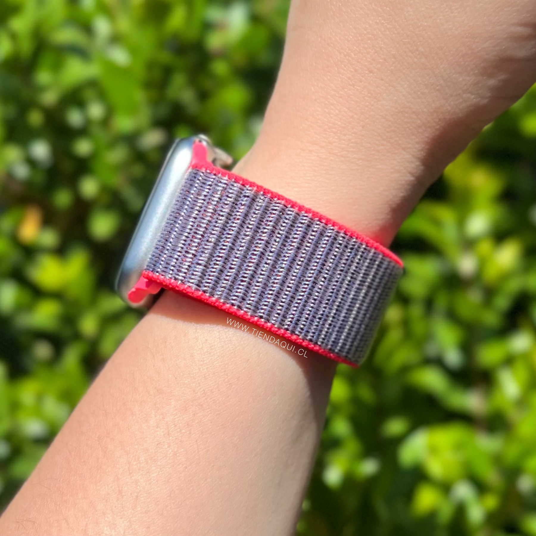 Correa velcro nailon color: gris con bordes rosas (38/40/41mm)