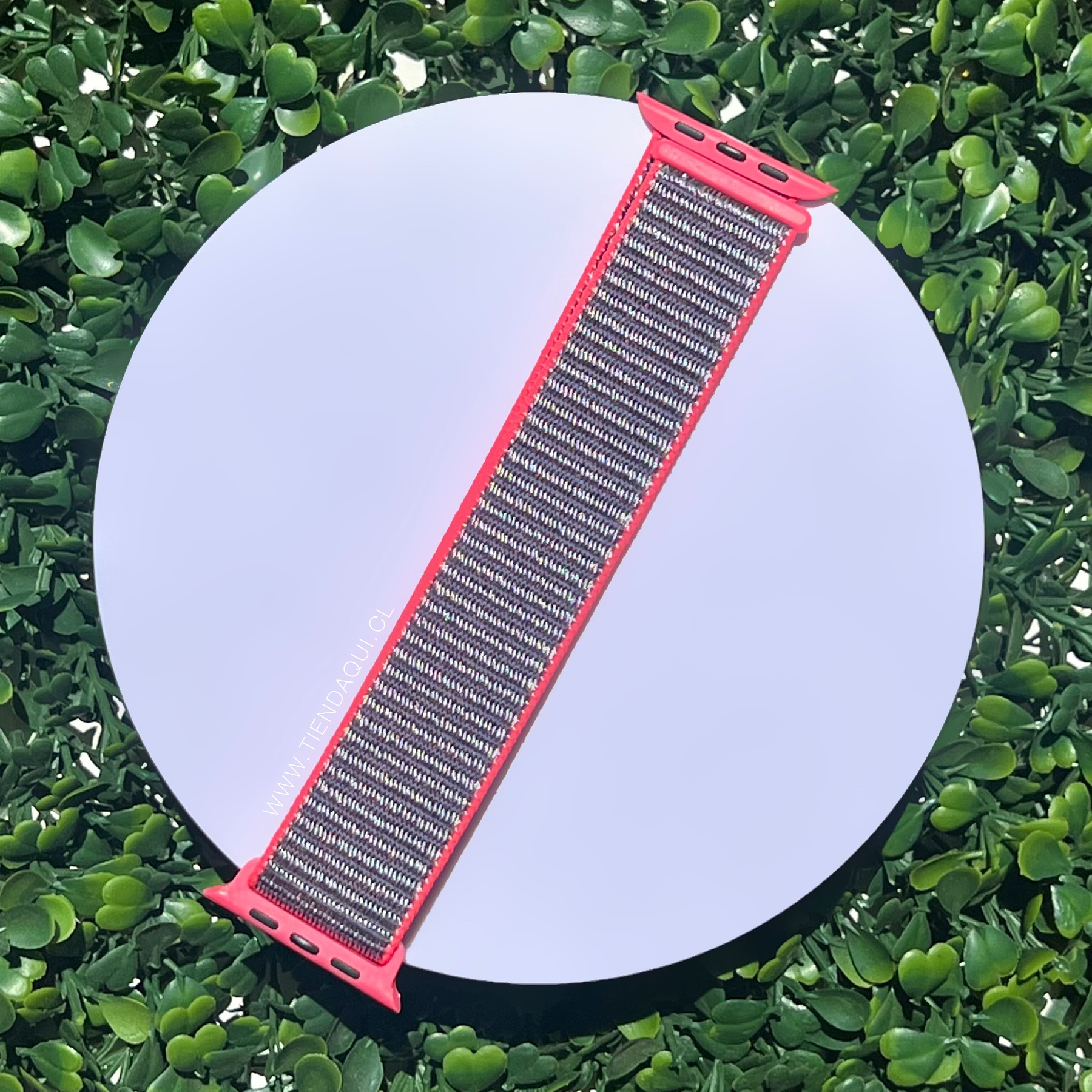 Correa velcro nailon color: gris con bordes rosas (38/40/41mm)