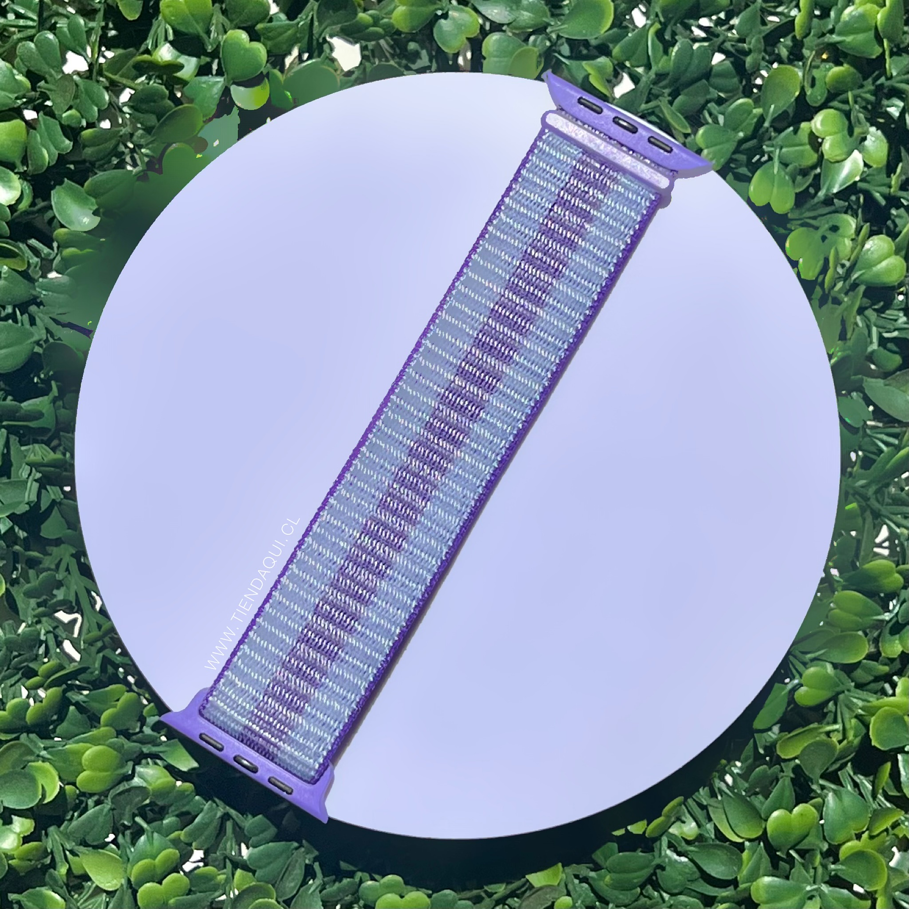 Correa velcro nailon color: lila multicolores (38/40/41mm)