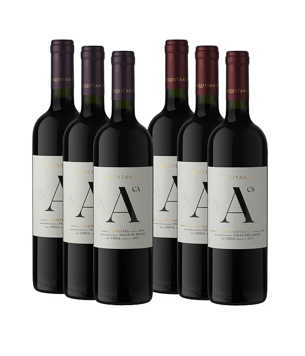 Caja 6 Botellas Seleccion Especial de Aquitania Mix Tinto	