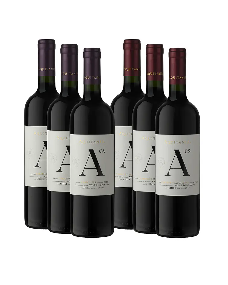 Caja 6 Botellas Seleccion Especial de Aquitania Mix Tinto	
