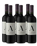 Caja 6 Botellas Selección Especial de Aquitania