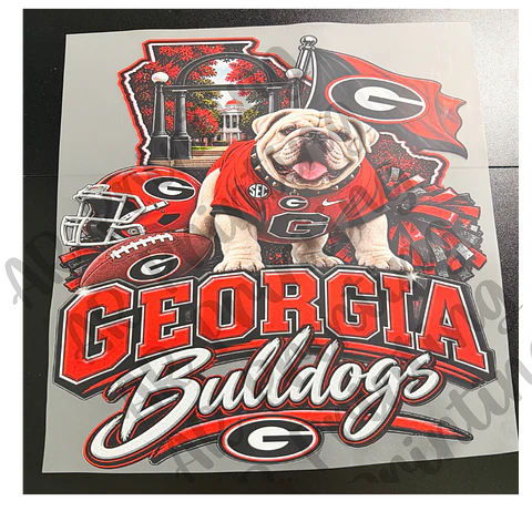Georgia Bulldogs