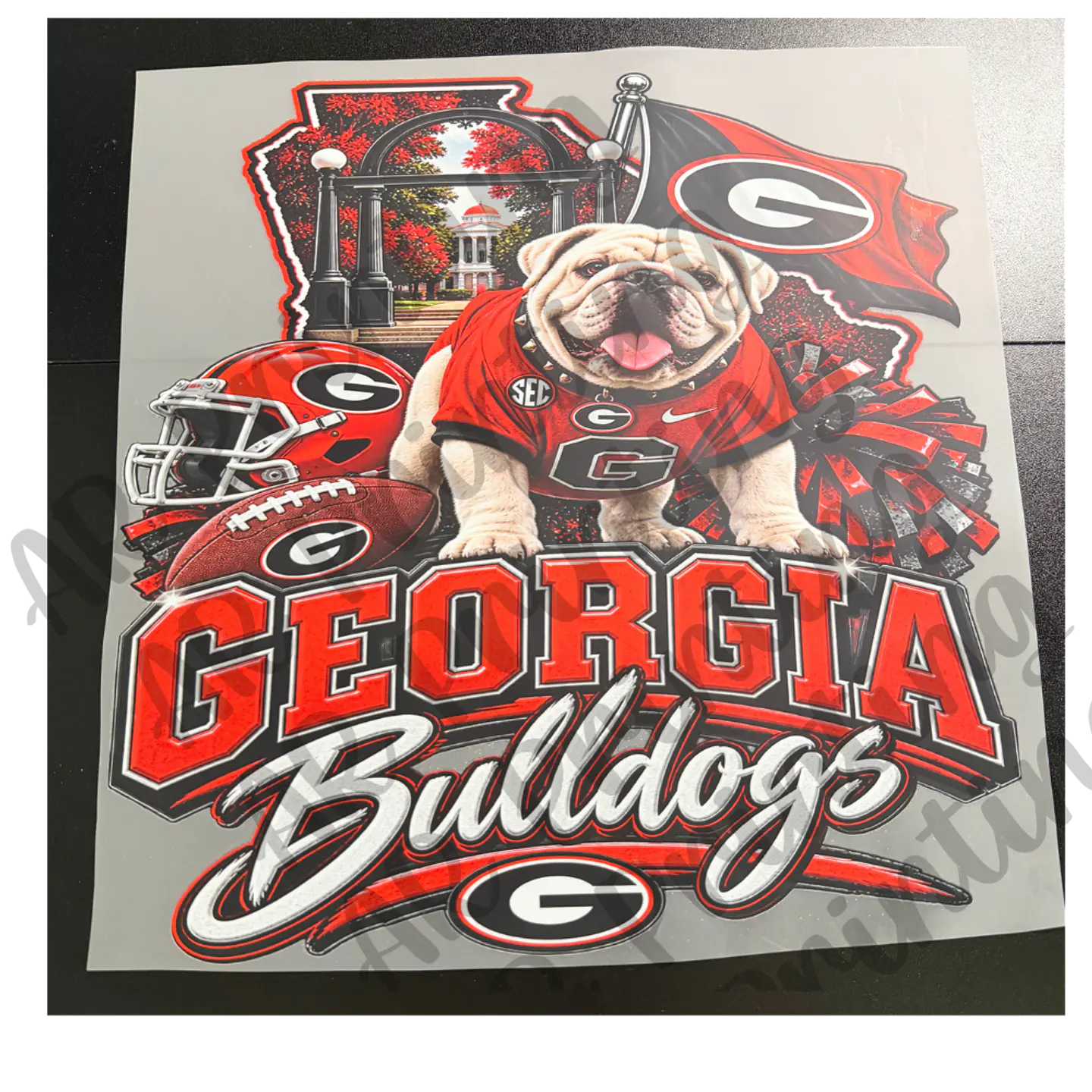 Georgia Bulldogs 1