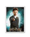 Protectores Dragon Shield Art. Harry Potter Matte - Standard 