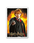 Protectores Dragon Shield Art. Ron Weasley Matte - Standard 