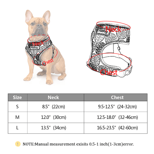 Arnés Perro/Gato Talla S (Modelo 1)