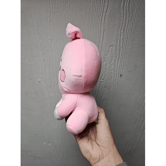 BT21 Peluche Cooky 20 cm